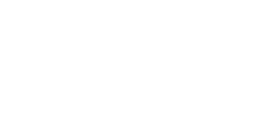 nuevo logo amada